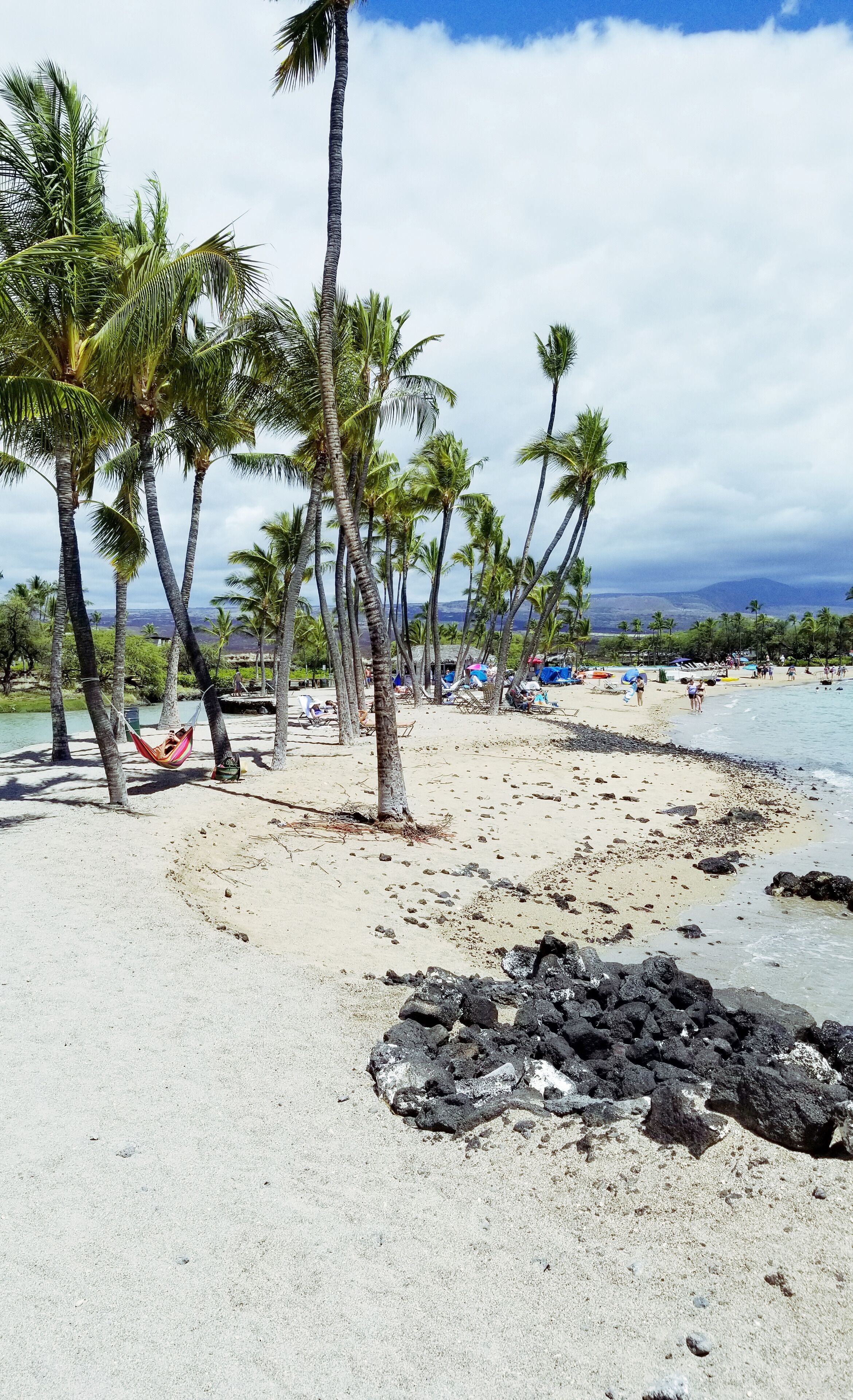 Ein tropischer Strand mit Palmen, einem Sandufer und einem felsigen Bereich.