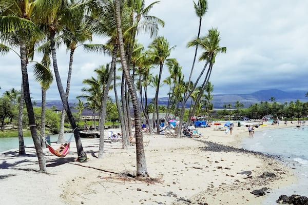 Una playa tropical con palmeras, una orilla arenosa y una zona rocosa.