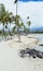A tropical beach with palm trees, a sandy shore, and a rocky area.
