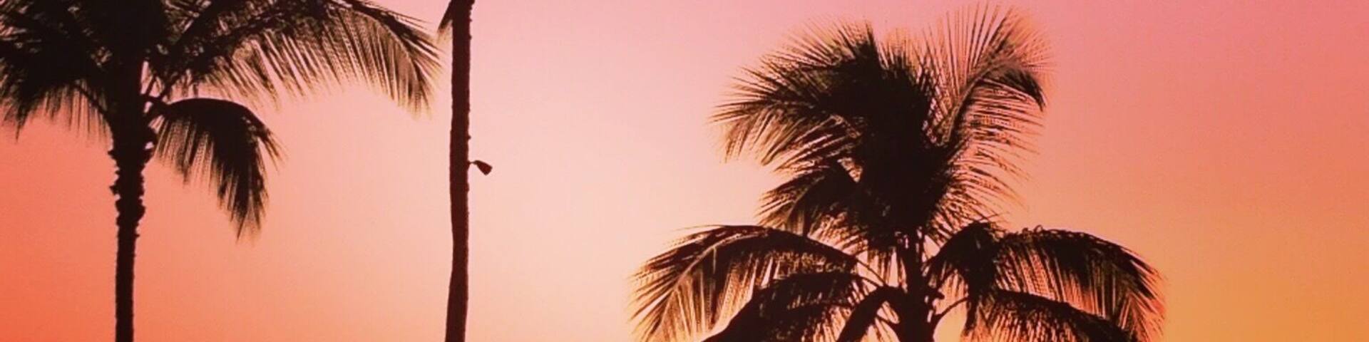 A sunset over the ocean with palm trees silhouetted against the sky.