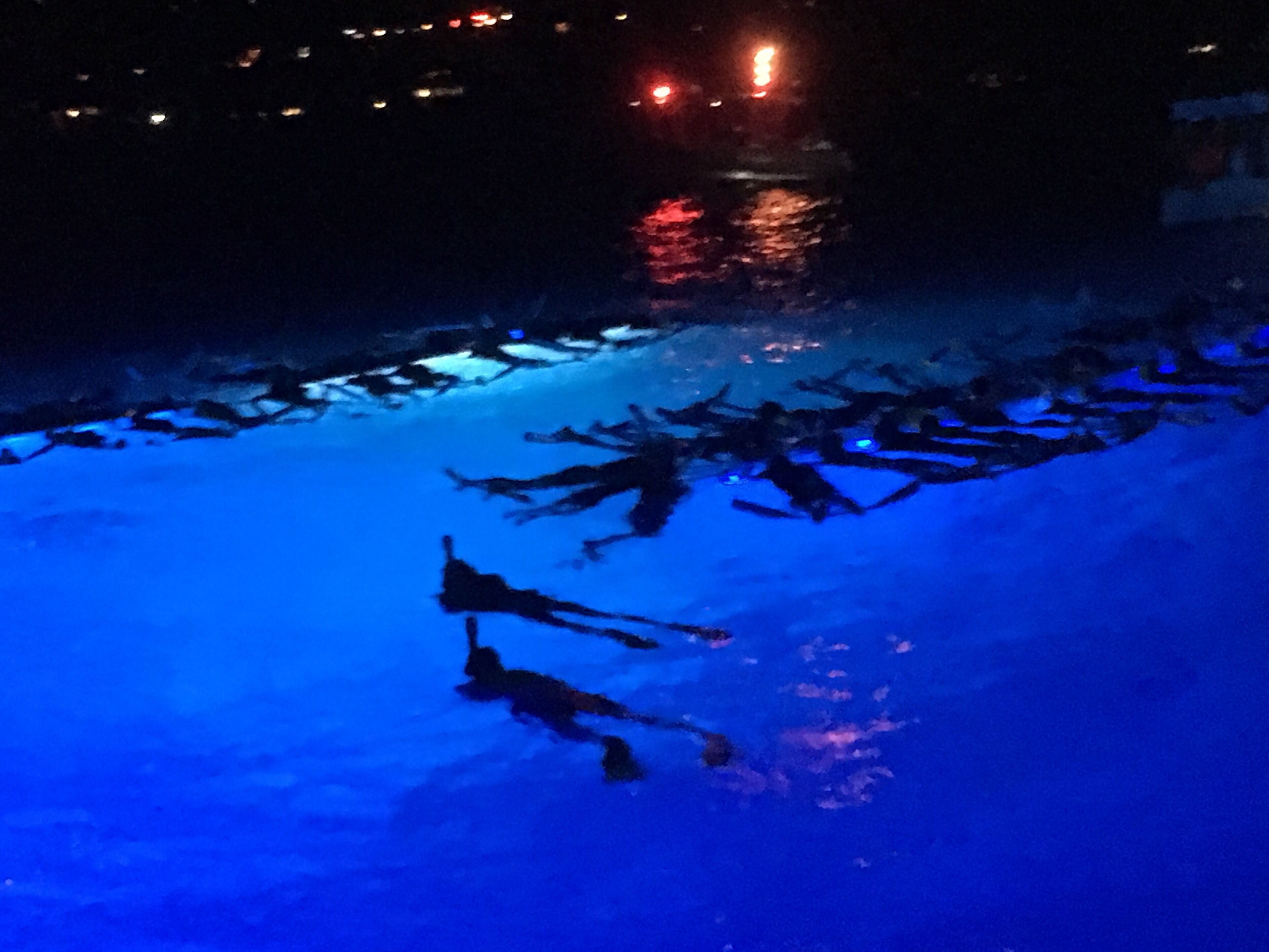 Snorkeling with Manta Rays