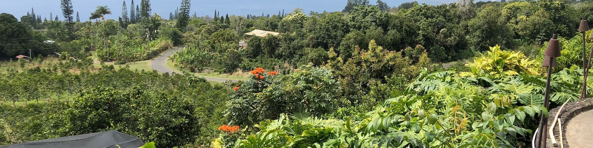 No trip to Kona on the Big Island of Hawaii is complete without getting all hopped up on caffeine. The drive up the mountains to get to these coffee plantations are a little steep and challenging, but well worth it for the views #lifeatexpedia