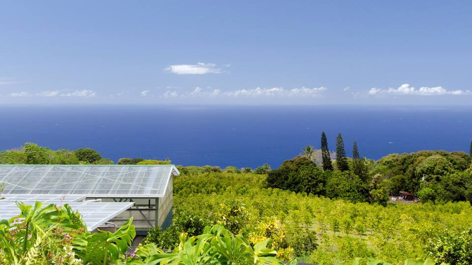 A greenhouse amidst lush greenery, overlooking a clear blue sea with distant boats.