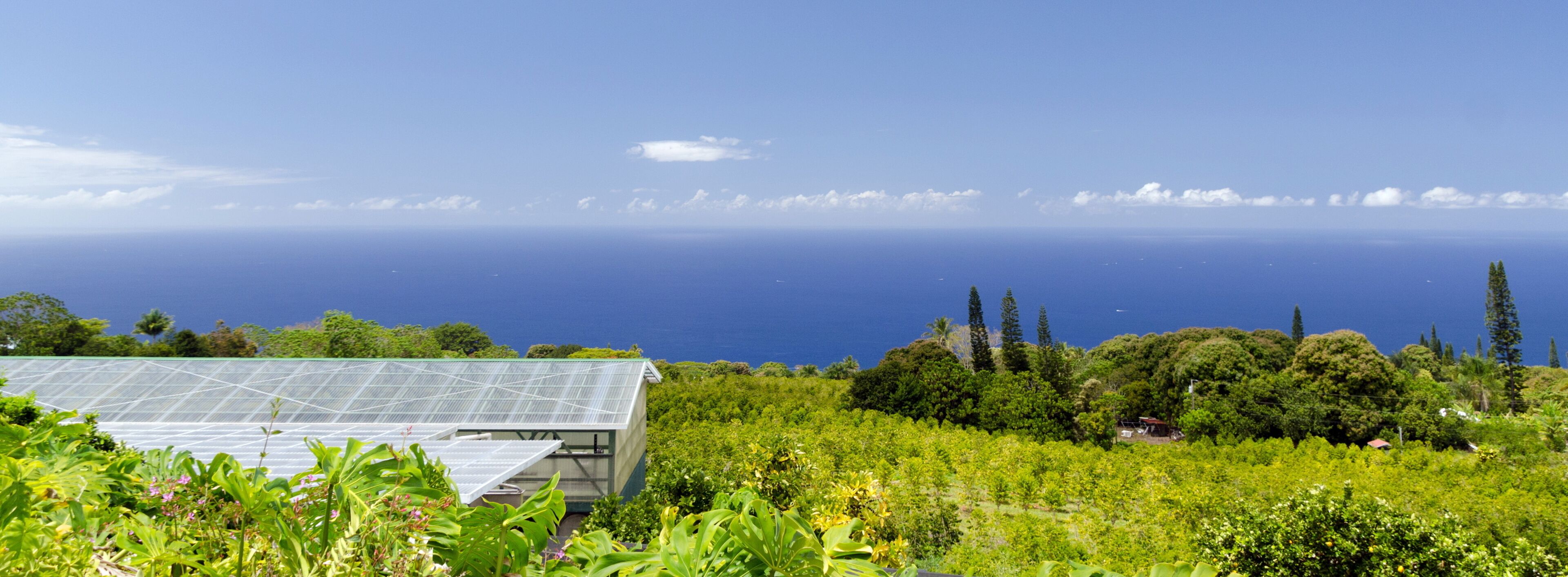 A greenhouse amidst lush greenery, overlooking a clear blue sea with distant boats.