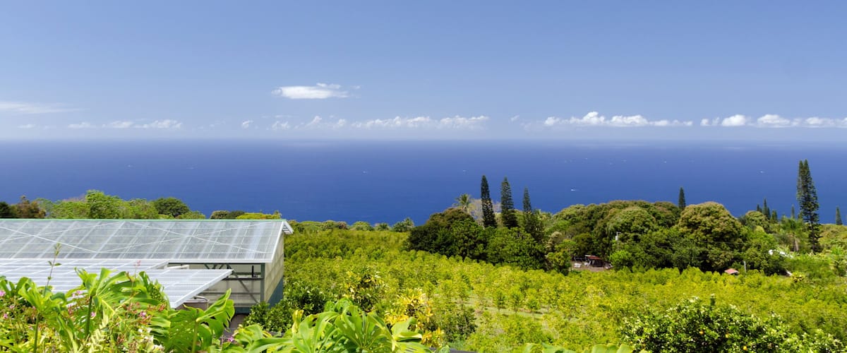 A greenhouse amidst lush greenery, overlooking a clear blue sea with distant boats.
