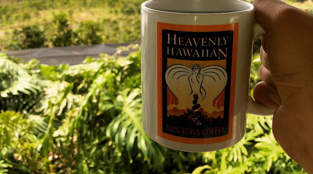 Coffee’s pretty much a must when visiting Big Island. The trek up the mountains of #Kona is a bit scary, but well worth it #LifeAtExpedia