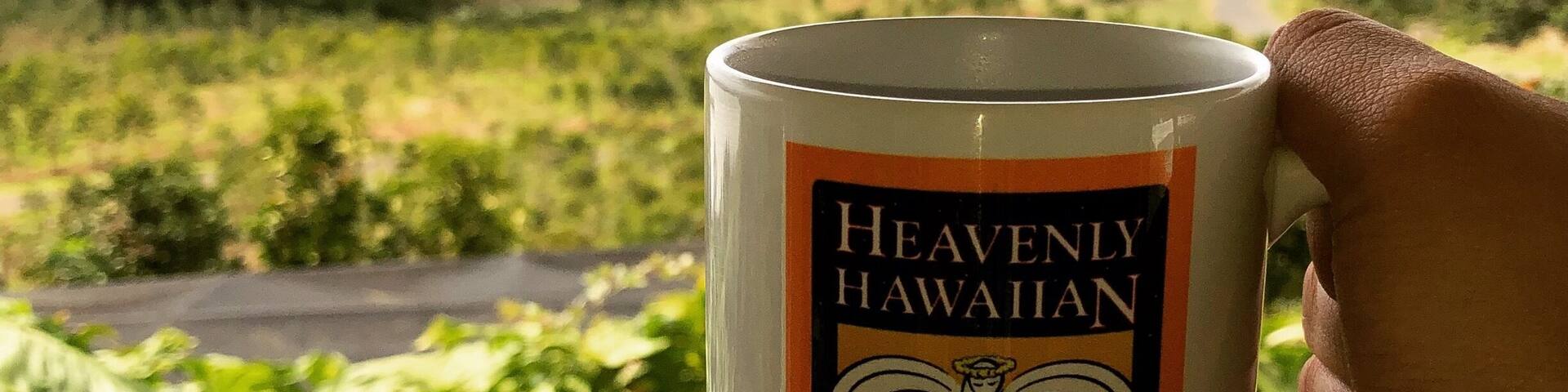 Coffee’s pretty much a must when visiting Big Island. The trek up the mountains of #Kona is a bit scary, but well worth it #LifeAtExpedia