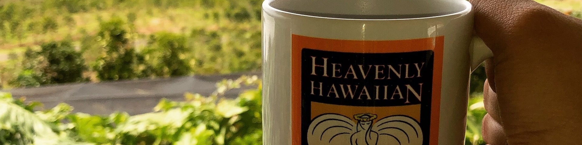 Coffee’s pretty much a must when visiting Big Island. The trek up the mountains of #Kona is a bit scary, but well worth it #LifeAtExpedia