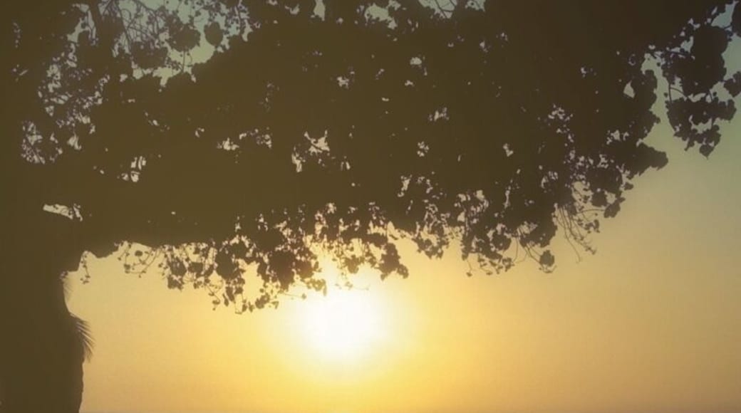 "a hawaiian sunset reminisced"
31 March 2012. On the Big Island of Hawaii.