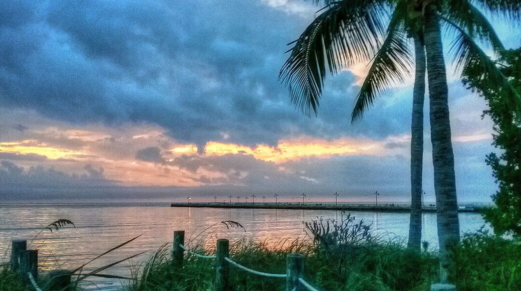 Got into Key West about 5am, picked up a bacon, egg, and cheese croissant with a Cuban coffee from Sandy's Cafe, and headed down White Street to enjoy a scenic sunrise from one of the picnic tables along the beach. The local wild roosters were crowing like crazy, which reminded me of home in Oregon.