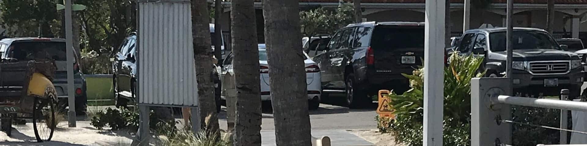 Posing for his picture.