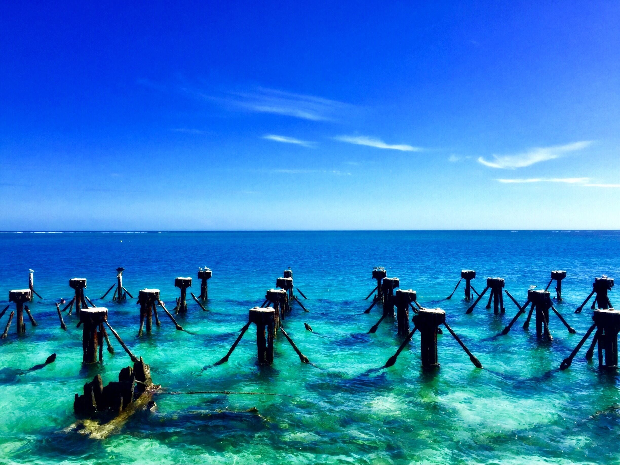 Last picture for 2016! This is the South Coaling Dock Ruins at Dry Tortugas National Park. I could not get over the colors in the water! 2016, you've been fun, but I cannot wait for 2017!! I have a feeling the new year is going to bring a lot of adventures!