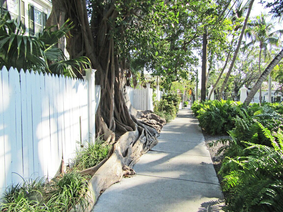 Key West was far more charming than I'd expected, with beautiful houses and lush vegetation. 