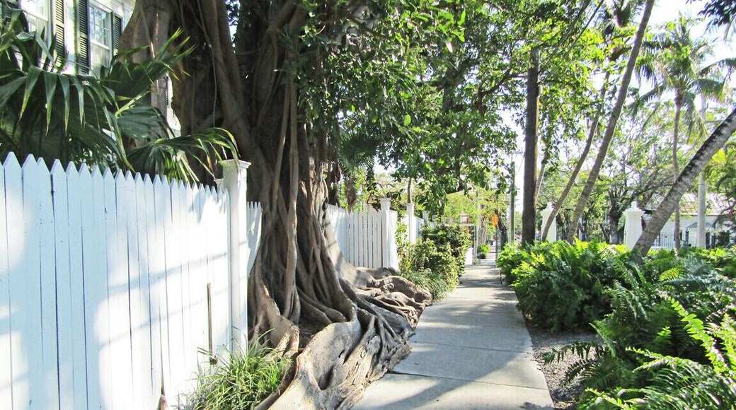 Key West was far more charming than I'd expected, with beautiful houses and lush vegetation.
