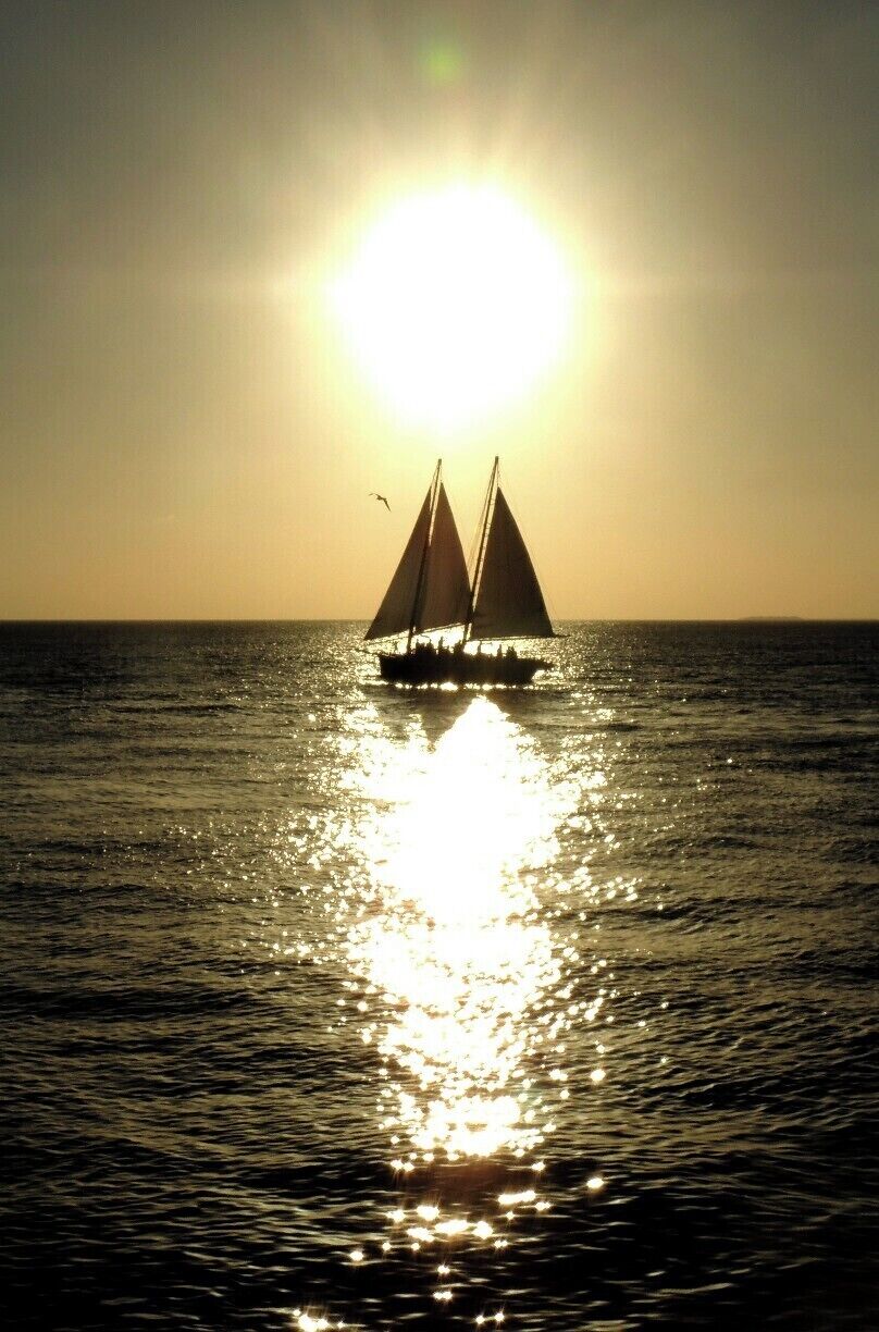 Every sunset is cause for celebration at Mallory Square in Key West, Florida.  From the buskers to the live music to the parade of people and boats along the waterfront, it's a party you don't want to miss.  
See more of my Key West visit via my blog at http://www.aplacecalledroam.com/home/7-reasons-to-love-key-west.