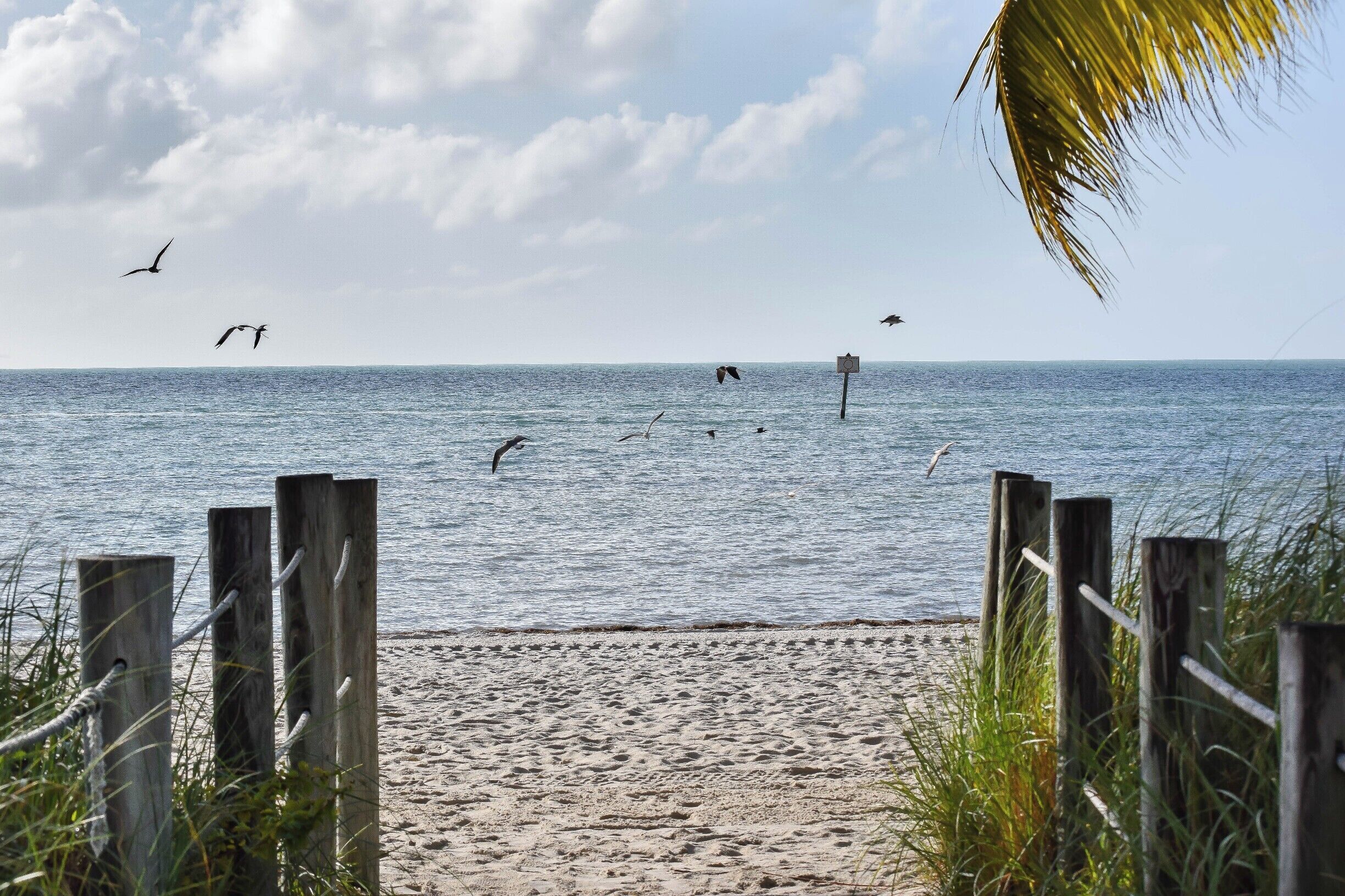This is definitely one of my favorite photos from Key West. I wouldn't recommend swimming at this beach though. The water is very murky and bleh. Who knows what is lurking in there waiting to chomp on your ankles! #BeachBound