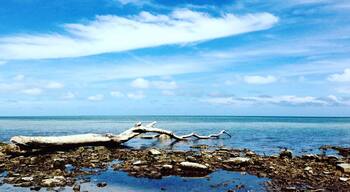 Every year we are blessed to go on a family adventure! This year was Key West #AquaTrove #NomadicSoul #TravelinLight
#BeachBound
#SpringFun
#Waterlust
#Colorful
#Blue