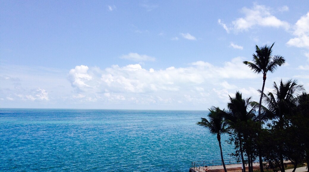 #waterlust #scenicdrive #miami2keys #bestviews #besttripever