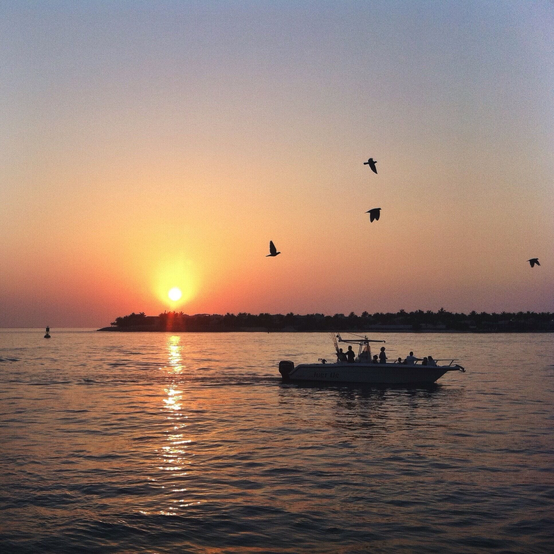 A sunset over a calm body of water with a boat and birds flying.