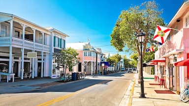 A sunny street lined with historic buildings, a 'ONE WAY' sign, and a flagpole with flags.