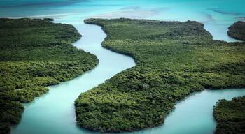 #LifeAtExpedia
It's a very popular saying that if you want to enjoy Key West, it's best done either under water or over water. If you happen to visit this place in one of the colder months, I highly recommend taking a helicopter ride to enjoy amazing keys of Florida. They cost around $150 per person but totally worth the money. The views that you see are second to none.
#LifeAtExpedia