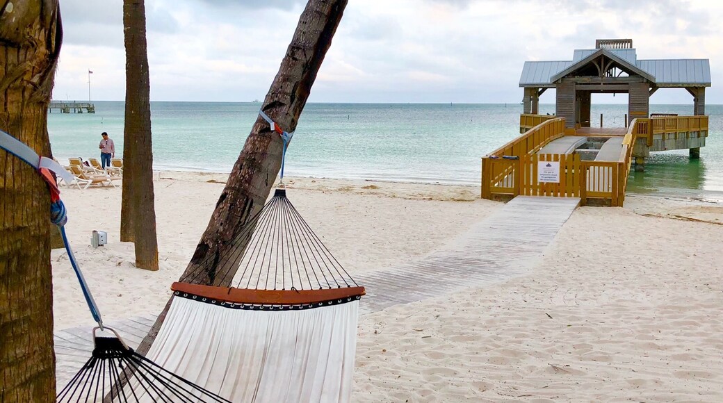 Beautiful hotel on the beach!