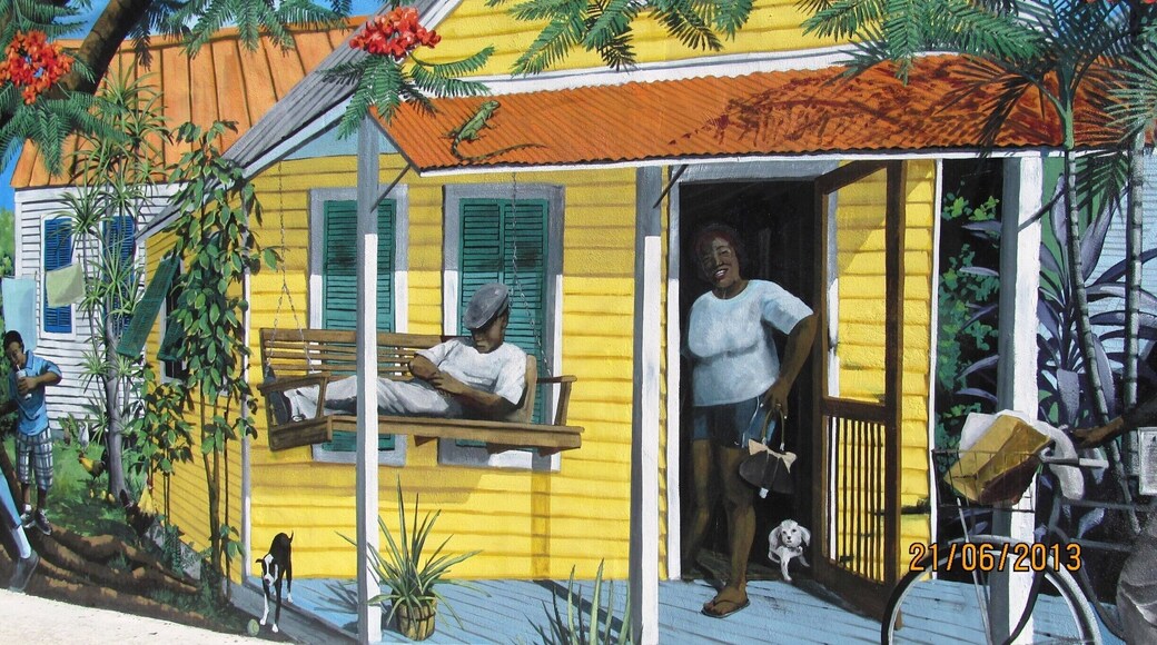 Getting lost in Key West, I found great pieces of street art, telling the story of the island. #localgem