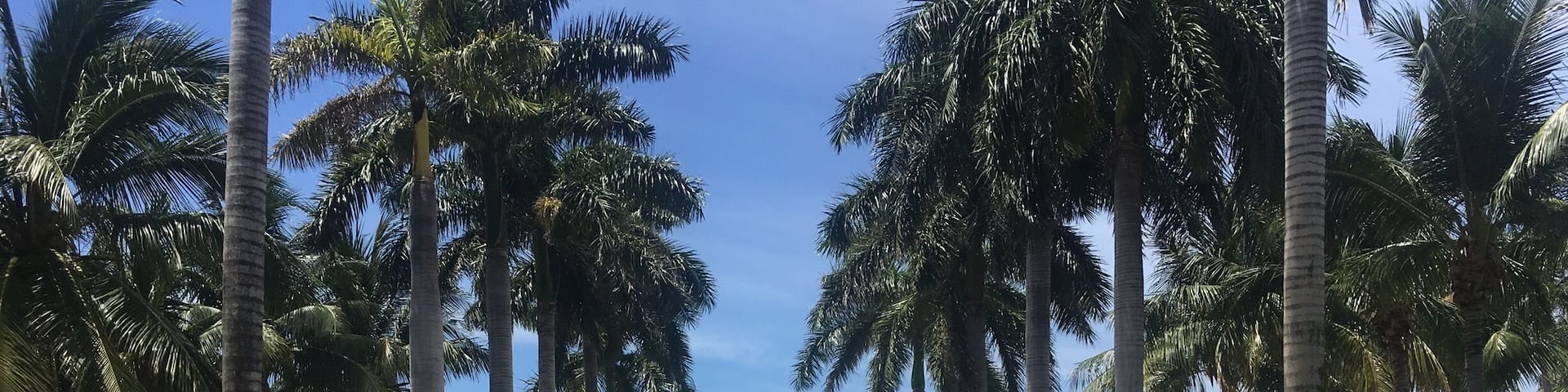 Key west Waldorf Astoria 2017