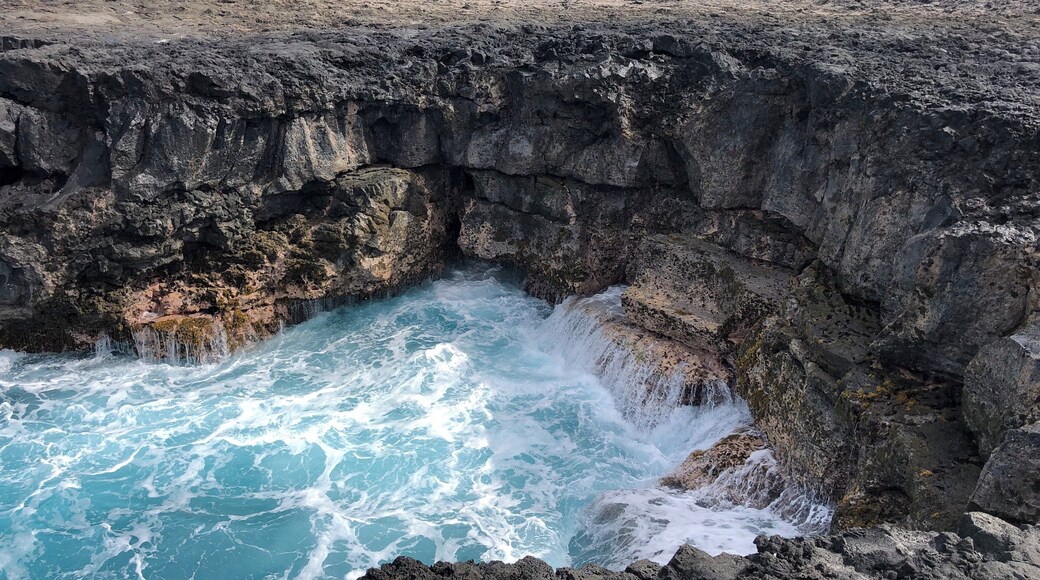 Another favorite spot to admire the beauty of Hawaii. You could only get here with a 4 wheel drive vehicle and someone to guide you through the trails. We were lucky enough that we had a local friend who knew the trails and the best spots to stop at. #adventure