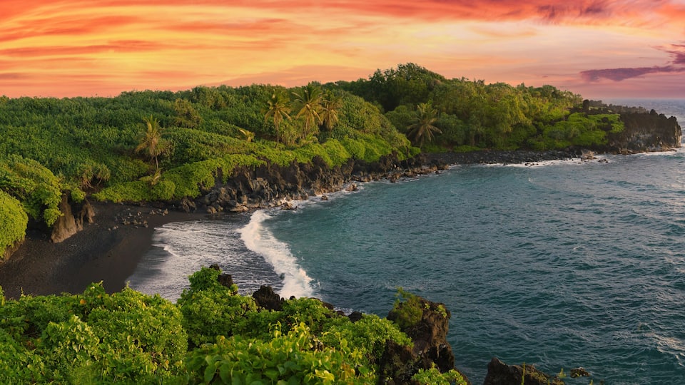 A coastal landscape with lush greenery, a rocky shoreline, and the ocean.