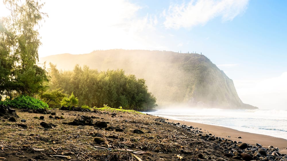A beach with a rocky foreground, a forested area, and a cliff in the background.