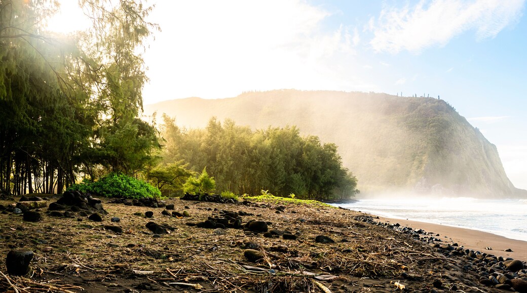 The Punaluu black sand beach, Big Island, Hawaii