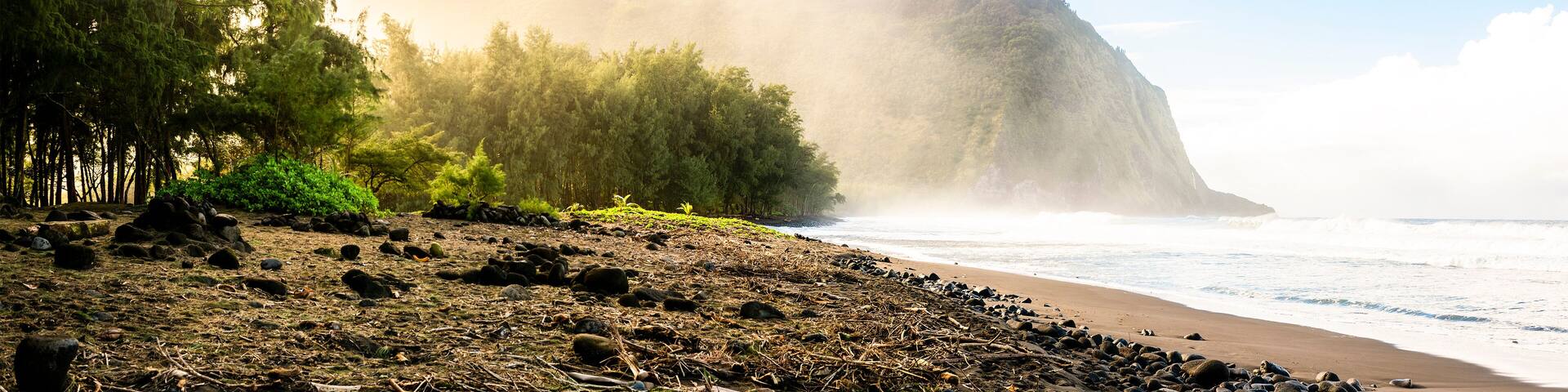 The Punaluu black sand beach, Big Island, Hawaii