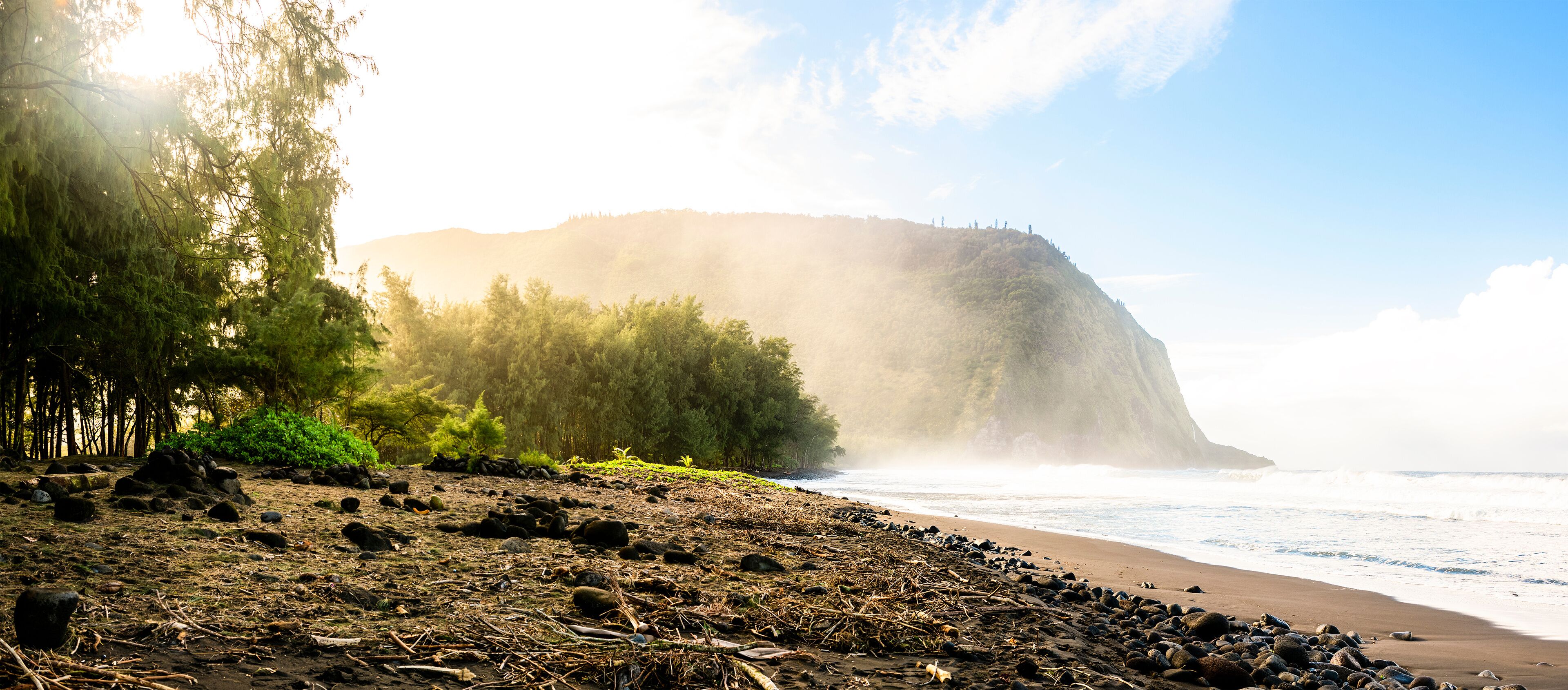 A beach with a rocky foreground, a forested area, and a cliff in the background.