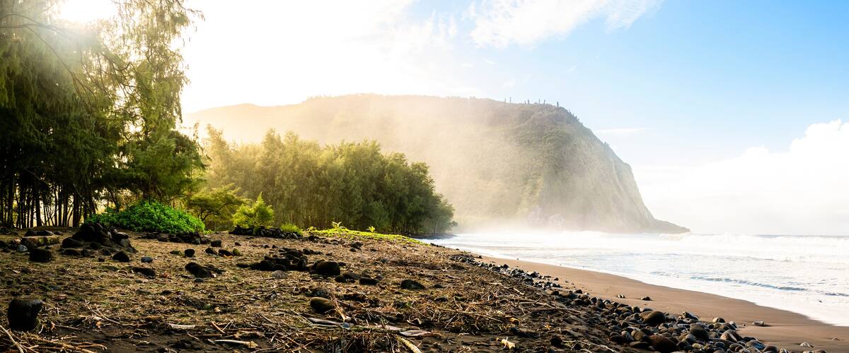 A beach with a rocky foreground, a forested area, and a cliff in the background.