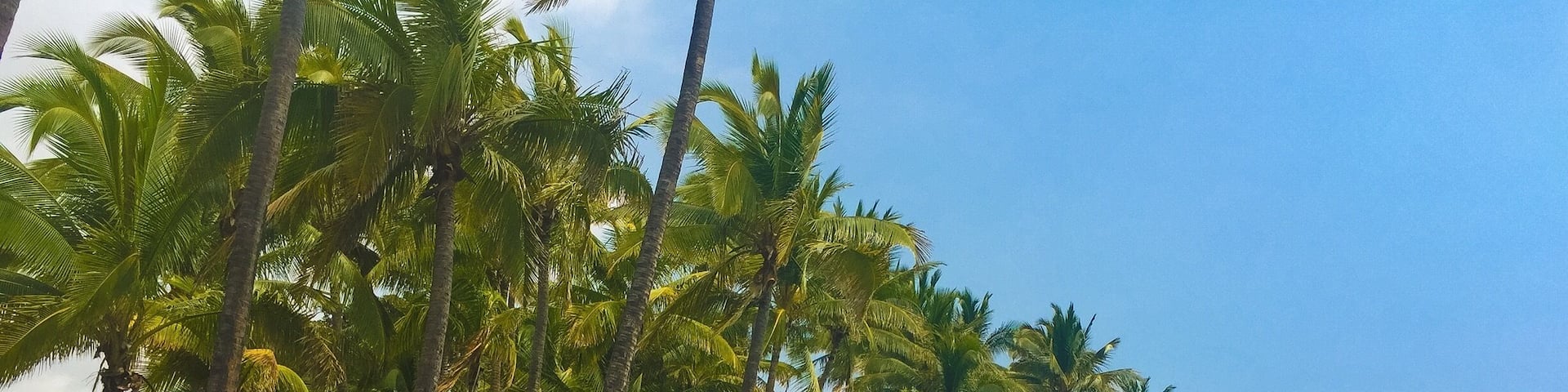 🆒🆒👌👌🌴🌴