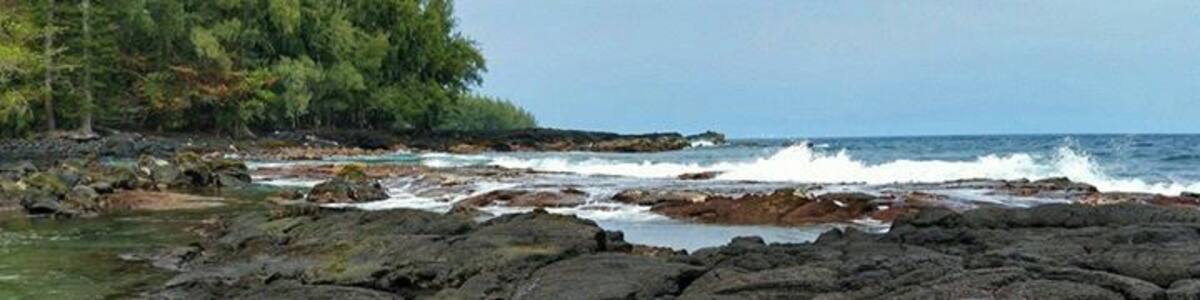 Shipman Cove Beach...
2.5 miles from the end of the road to the cove. Great hike through a jungle that leads to a beach covered in lava. The hike then turns into a climb over lava, loose stone and boulders.
The cove is a nesting spot for Green Sea Turtles and passing Humpback Whales.
We had the cove to ourselves and these guys.