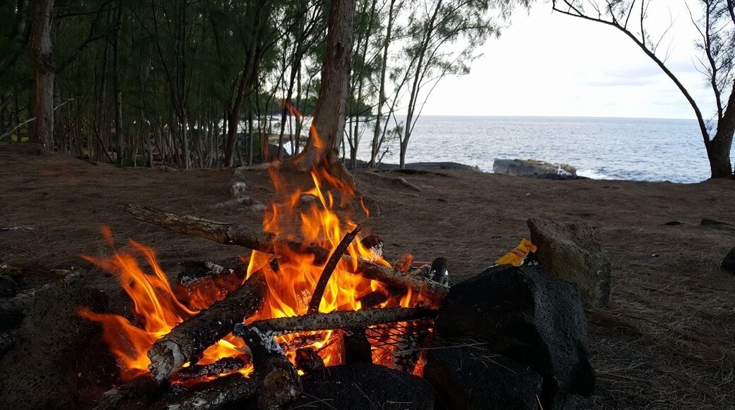 The perfect place for a picnic or to camp out!! Make sure you bring the marshmallows and build a little fire, and watch the shooting stars all night!! Taking a leisurely walk down to the beach and see the sea turtles! Beautiful and relaxing walk!Open some coconuts and pick some mangoes because this is going to be a night to remember!