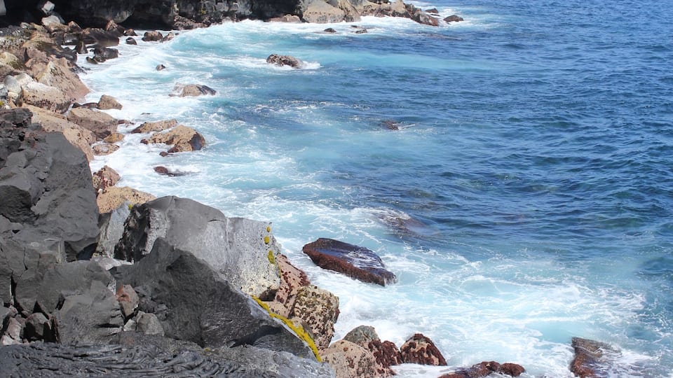A rocky coastline with waves crashing against the shore, a clear sky, and distant trees.