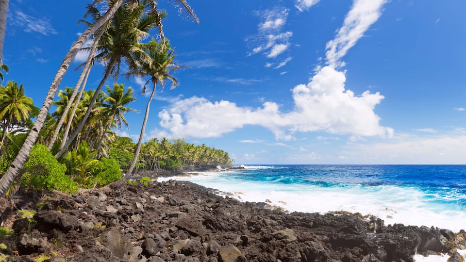 A tropical beach with palm trees, rocky shoreline, and the ocean.