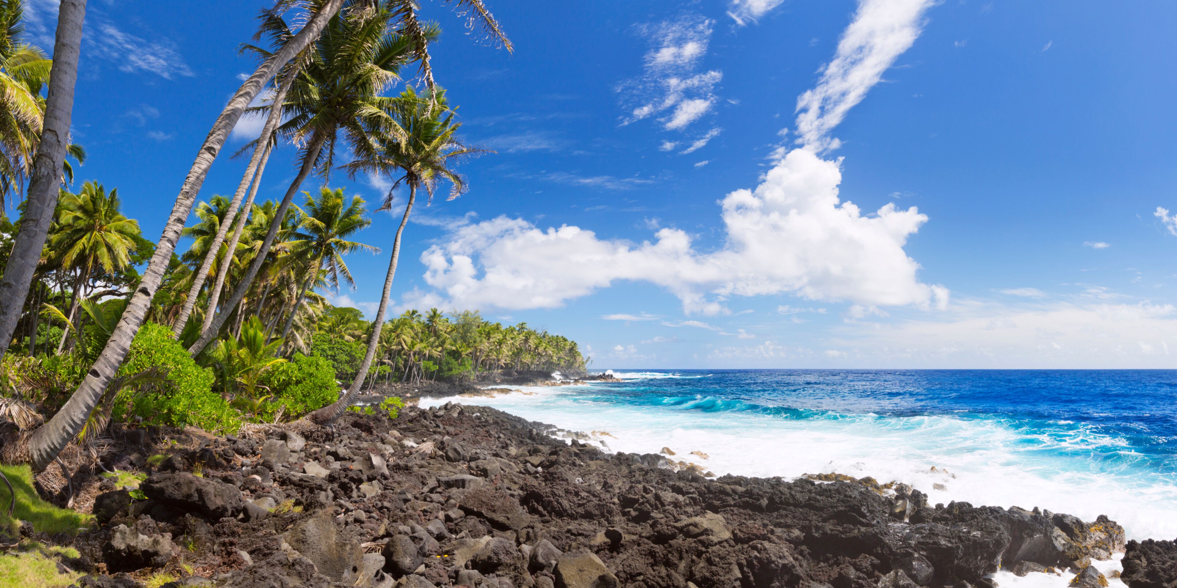 A tropical beach with palm trees, rocky shoreline, and the ocean.