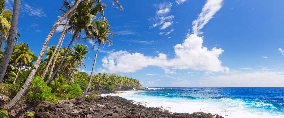 A tropical beach with palm trees, rocky shoreline, and the ocean.
