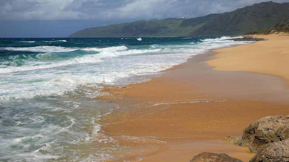 A sandy beach with waves crashing onto the shore, a mountain in the background, and a cloudy sky.