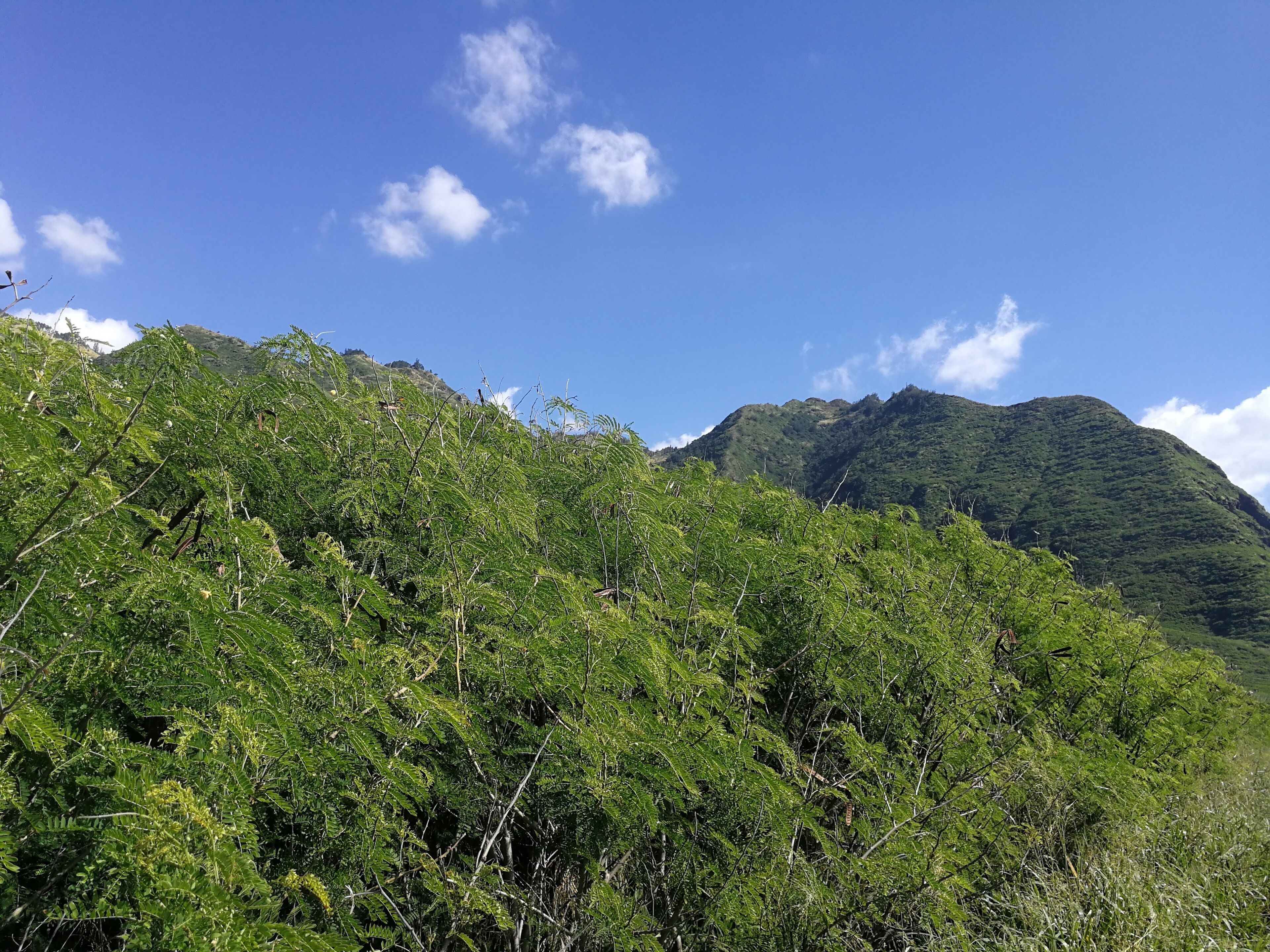 Keaau Beach, O'ahu, Hawaii - January 2020