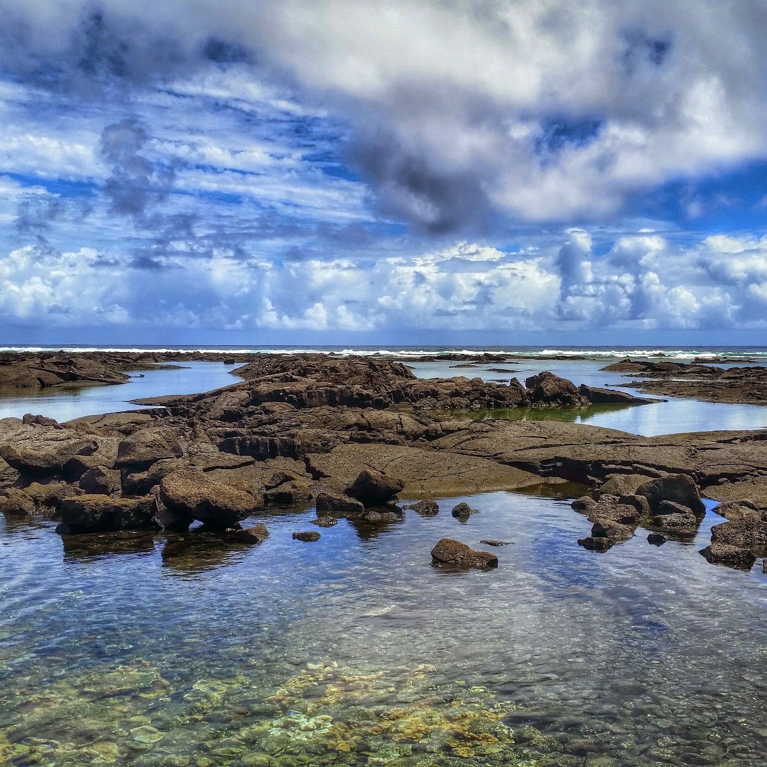 Best place for snorkling....
Tidal pools teaming with...life.
#Waterlust Photo Challenge 