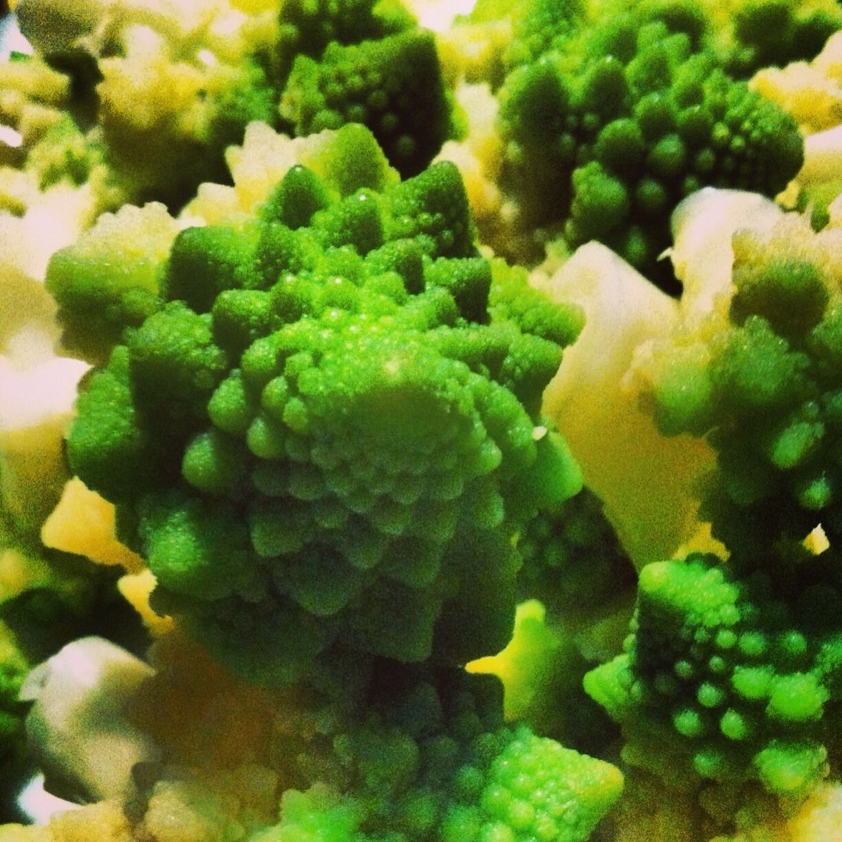Romanesco: The most beautiful vegetable! 