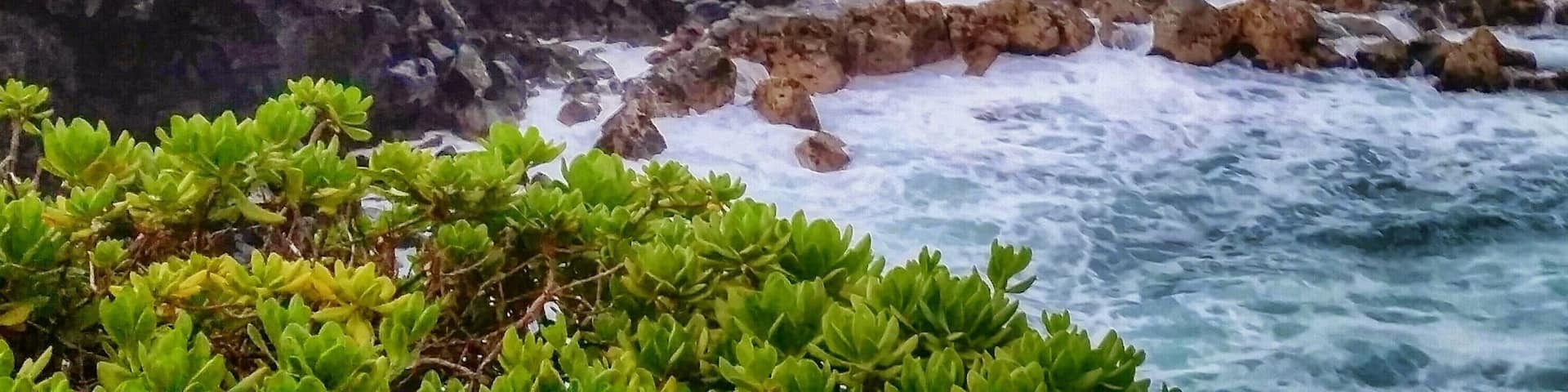 Where my morning walk takes me. Pahoa is a small town 38 miles south of Hilo. Quiet, hippy feel...