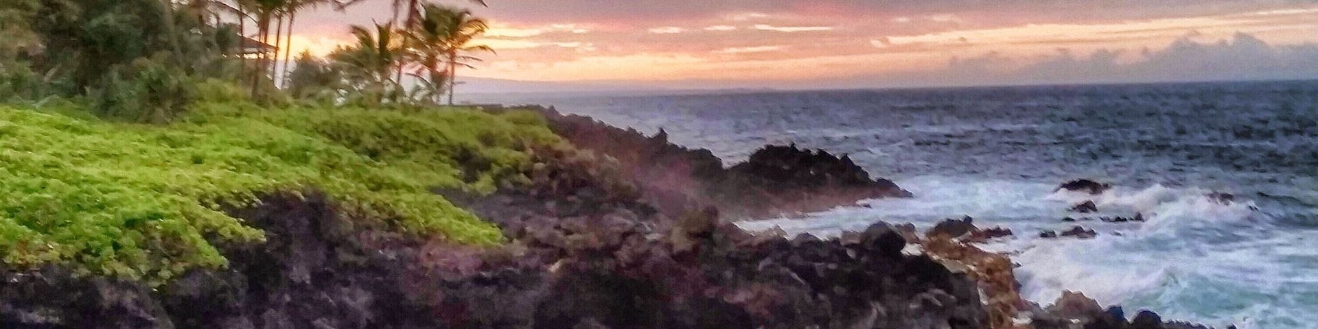 Where my morning walk takes me.  Pahoa is a small town 38 miles south of Hilo.  Quiet, hippy feel...