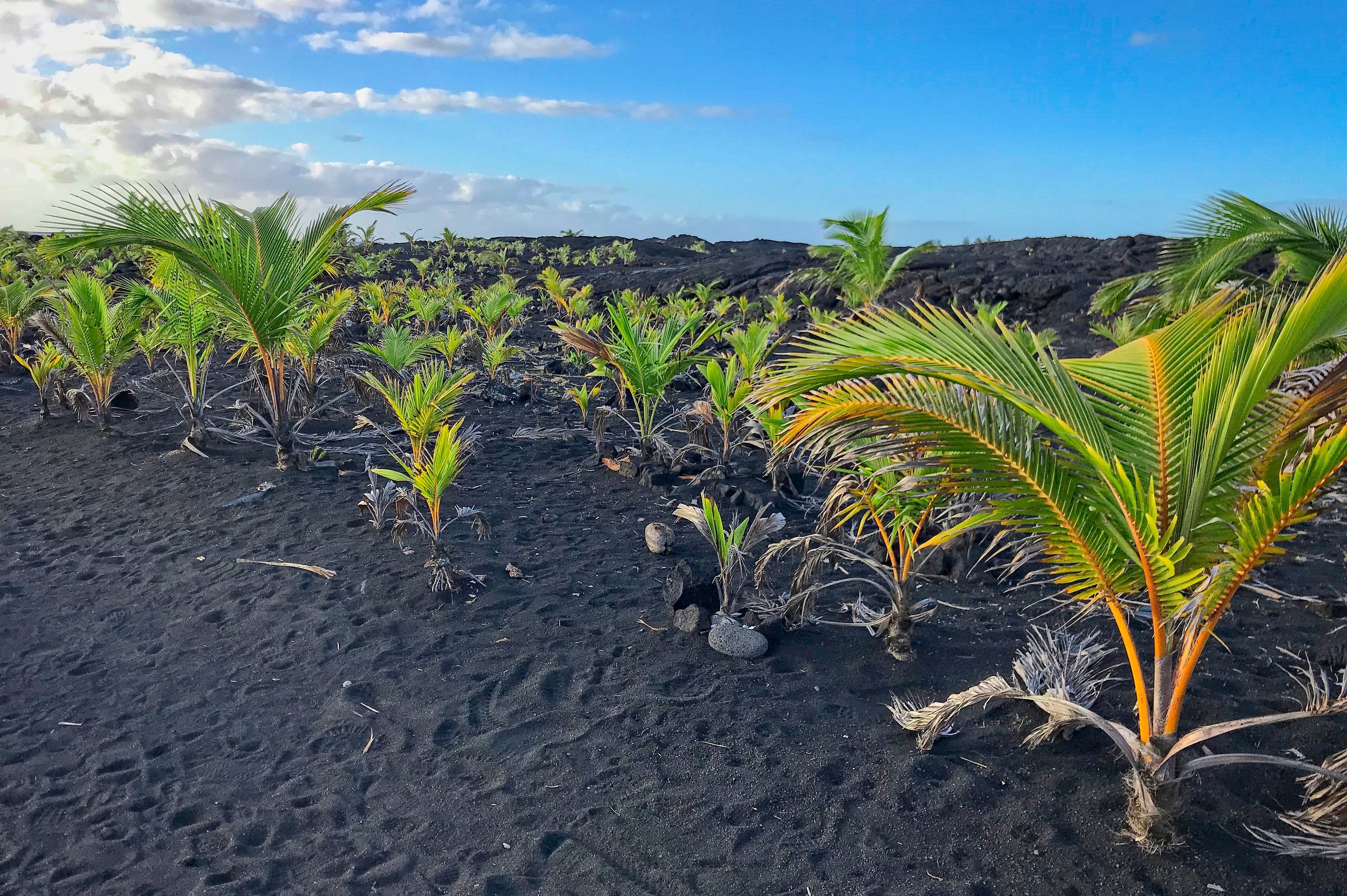 <h2>适合情侣的最佳住宿</h2>