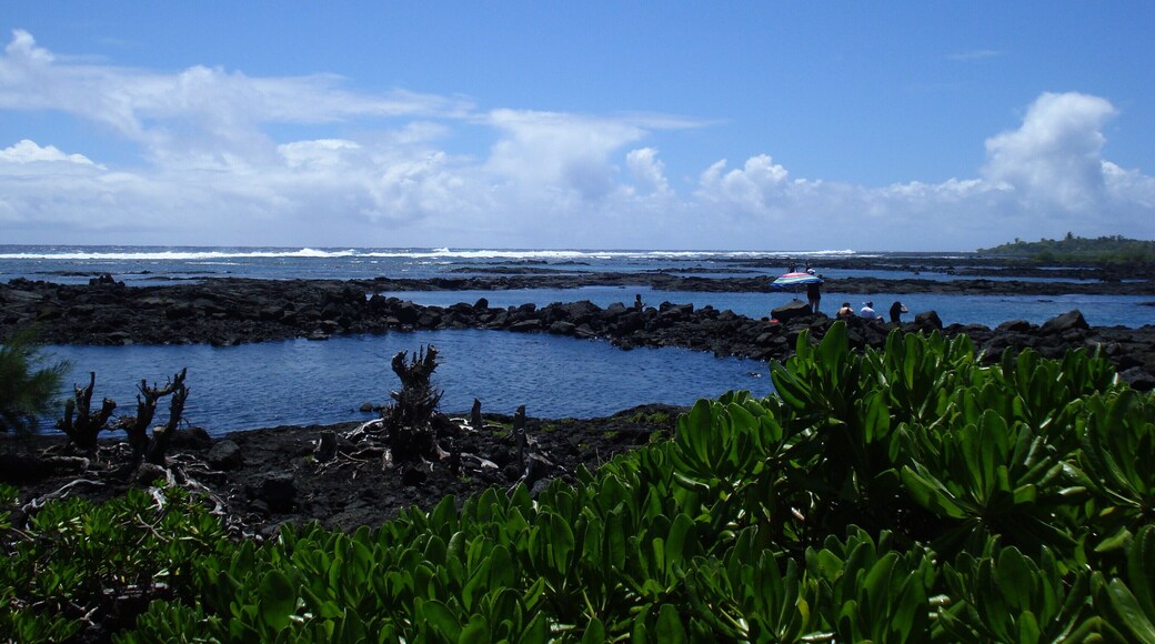 These waters are a beautiful place to snorkel.
#LifeAtExpedia
